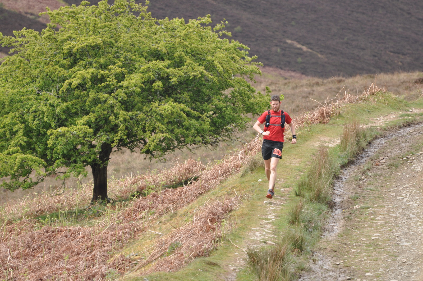 Bowhill Weekender 50k